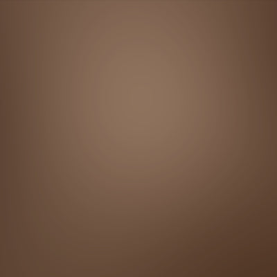 100% Whey Protein (30g) - Cinnamon Churro